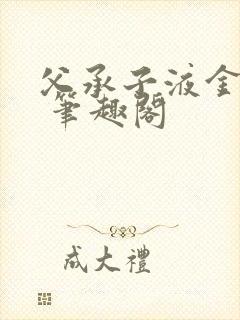 父承子液金银花 笔趣阁封面