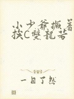 小少爷撅着屁股挨C双龙若封面