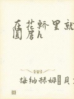 在花轿里就开始圆房h封面