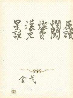 星汉灿烂原著小说免费阅读封面