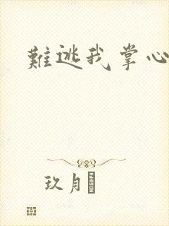 难逃我掌心封面