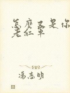 怎么又是你by老红军封面