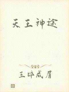 天王神途封面