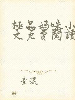 极品妈咪小说全文免费阅读