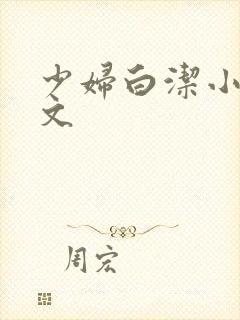 少妇白洁小说全文封面