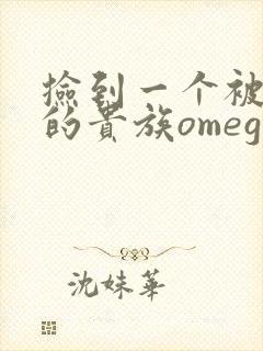 捡到一个被抹布的贵族omega