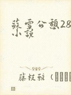 苏雪公憩28篇小说