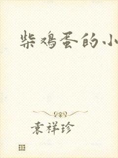 柴鸡蛋的小说封面