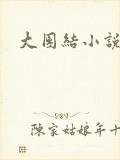 大团结小说全文