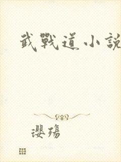 武战道小说