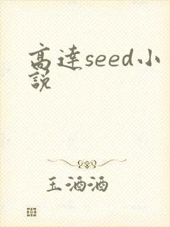 高达seed小说