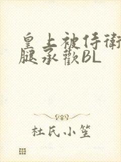 皇上被侍卫抵开腿承欢BL