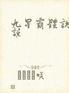 九星霸体诀 小说