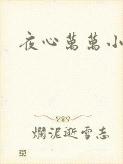 夜心万万小说
