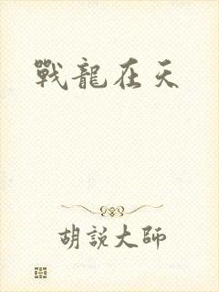 战龙在天封面