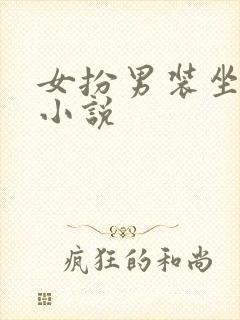 女扮男装坐江山小说