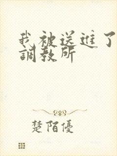 我被送进了私奴调教所