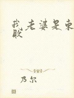 我老婆是东方不败封面