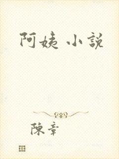 阿姨 小说
