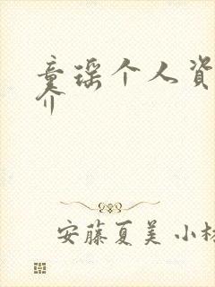 童瑶个人资料简介