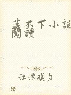 落不下小说免费阅读