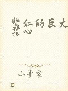 紫红的巨大顶开花心