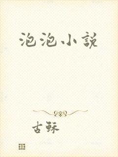 泡泡小说