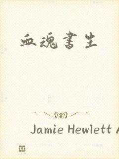 血魂书生封面