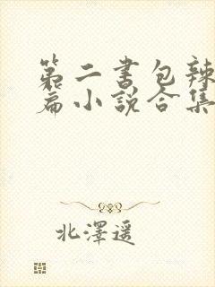 第二书包辣网短篇小说合集