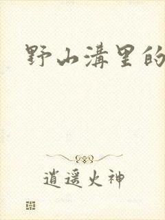 野山沟里的村庄封面