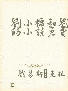 刘小棉和刘易文的小说免费阅读