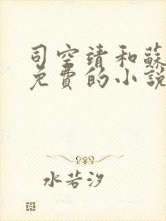 司空靖和苏月汐免费的小说笔趣阁封面