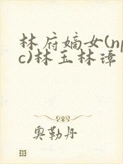 林府嫡女(npc)林玉林璋