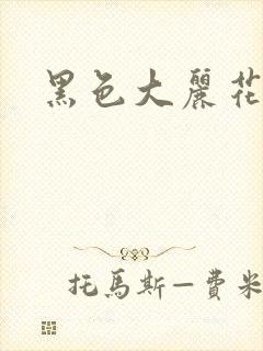 黑色大丽花图片