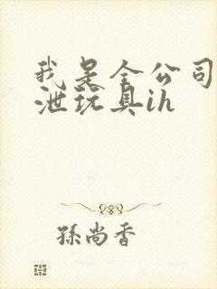 我是全公司的发泄玩具ih