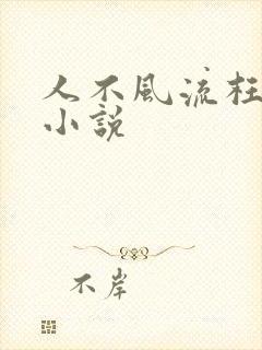 人不风流枉少年小说