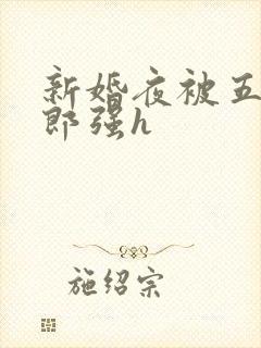 新婚夜被五个伴郎强h封面