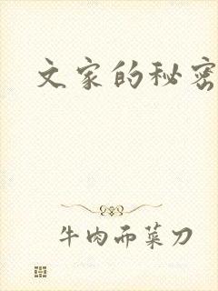 文家的秘密封面