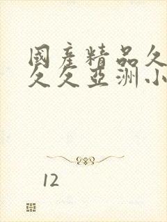 国产精品久久久久久亚洲小说