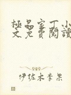 极品家丁小说全文免费阅读