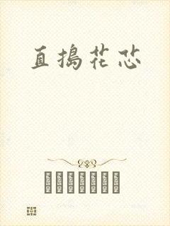 直捣花芯封面