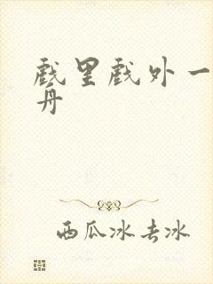 戏里戏外一叶孤舟封面