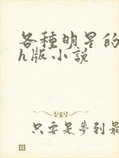 各种明星的综艺h版小说封面