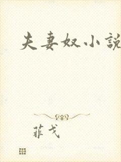 夫妻奴小说封面