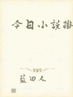 今日小说排行榜封面