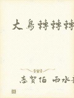 大鸟转转转酒吧封面