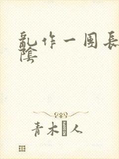 乱作一团长日光阴封面