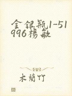 金银瓶1-51996杨敏封面
