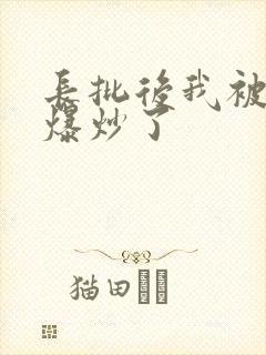 长批后我被宿敌爆炒了封面