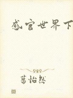 感官世界下载